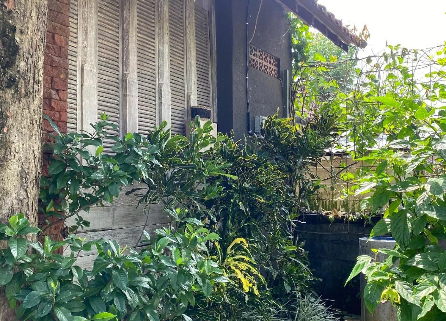Tuwi Villa Ubud By Prasi Hotel